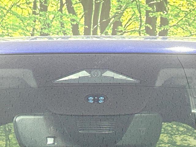 22430156_carP_l_10.jpg