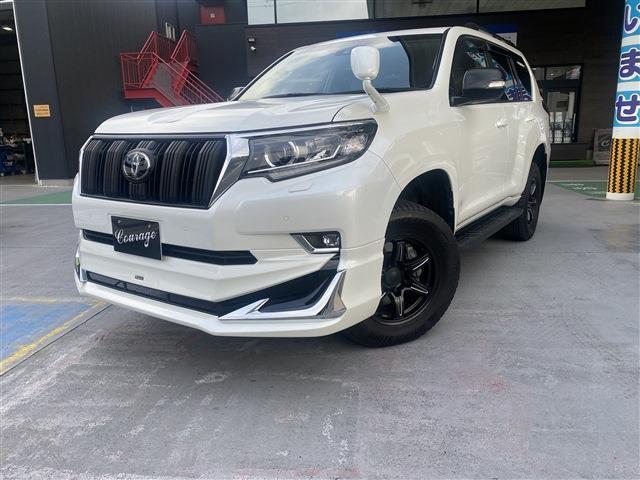 21998963_carP_l_1.jpg