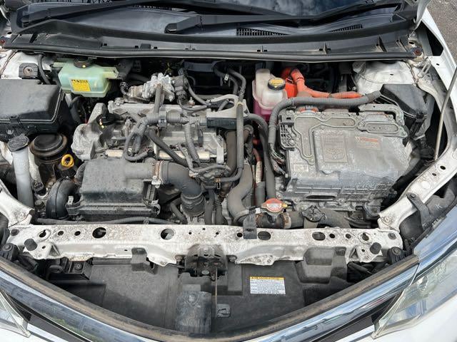 d25cefa0626a4c40efa30eb14184ab13.jpg