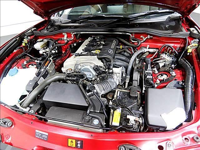 15089318_carP_l_17.jpg