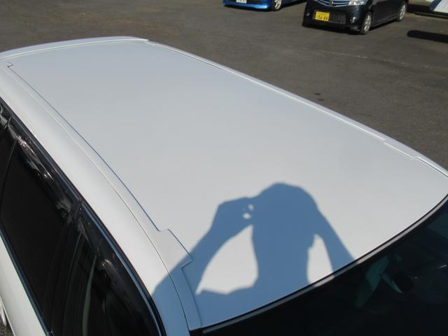 0404187A30260221W00113.jpg