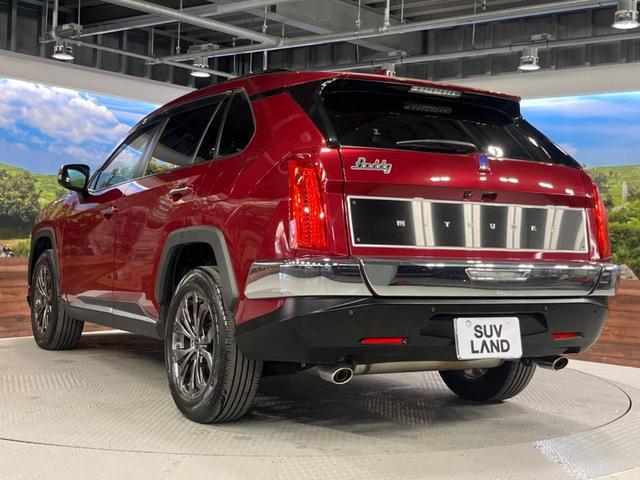 21765350_carP_l_12.jpg