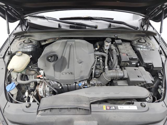 lotterental_220806578_tpf0i_10.jpg