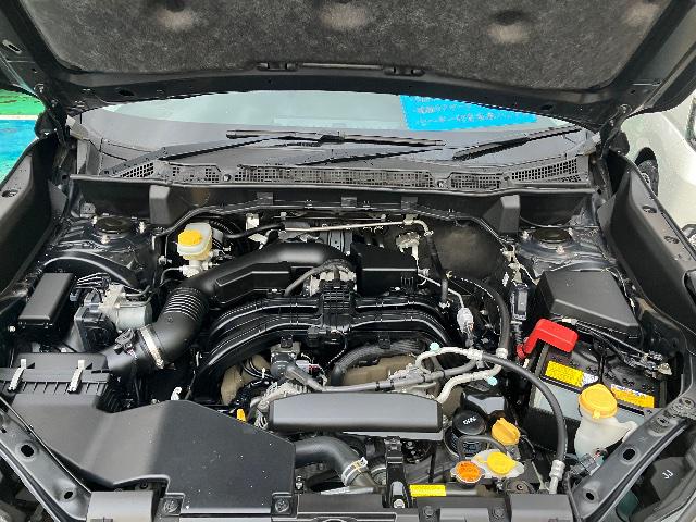 bcc852400bda392ae77057aebda97624.jpg