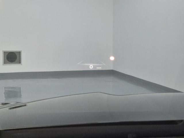 5041501674R16.jpg