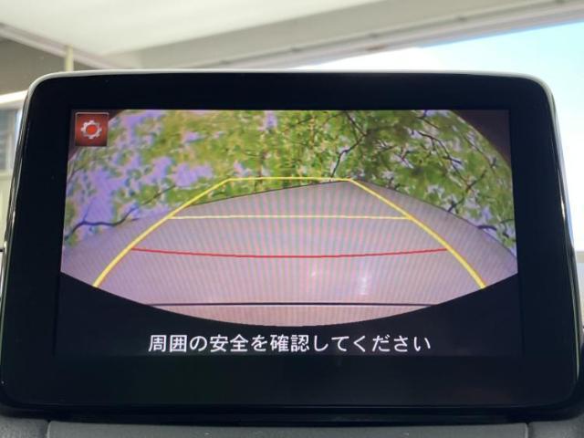 21552917_carP_l_7.jpg