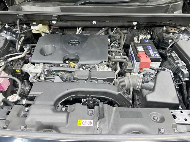 23207738_carP_l_16.jpg