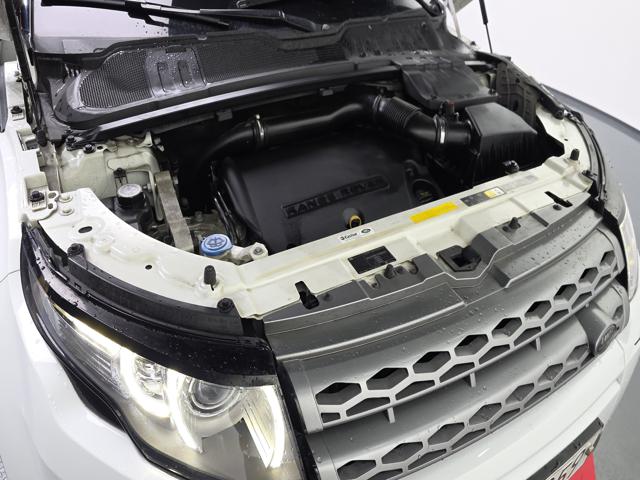 8717cc848f46ca5cad37572433f64e9e.jpeg