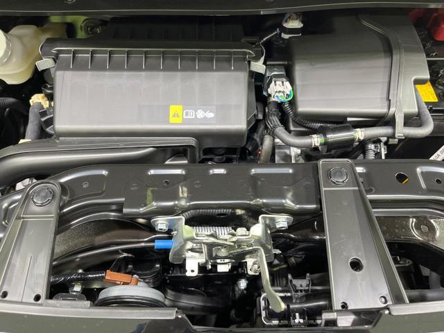 20008546_carP_l_16.jpg