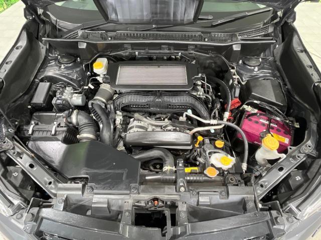 23014579_carP_l_18.jpg