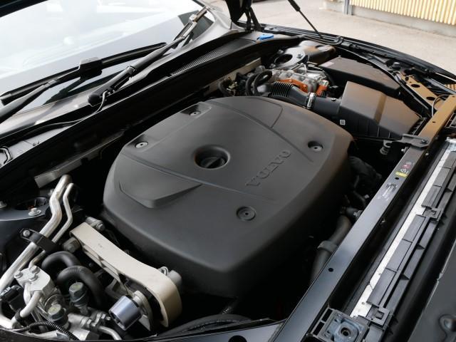 23035749_carP_l_7.jpg
