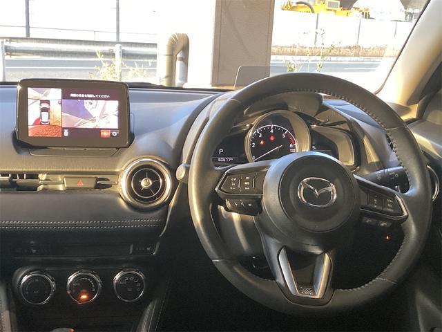 22654537_carP_l_5.jpg