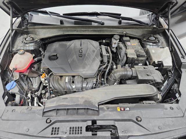 lotterental_153152304_sWsLY_1.jpg