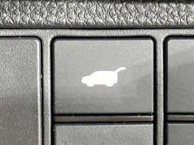 21435630_carP_l_17.jpg