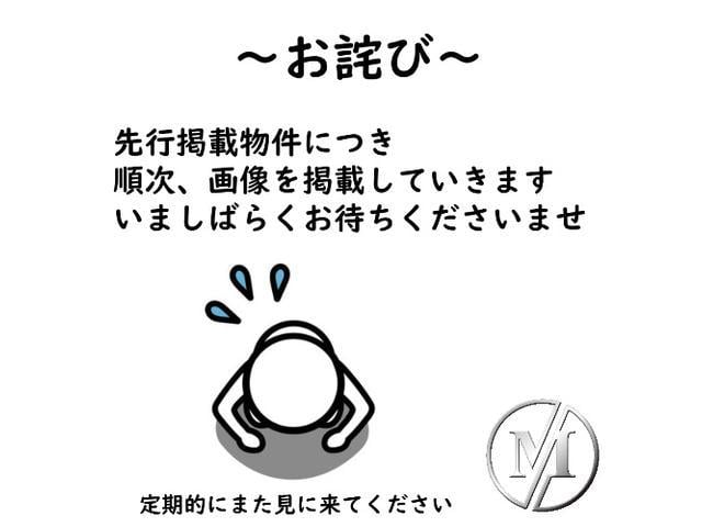 9510011A30250904W00301.jpg