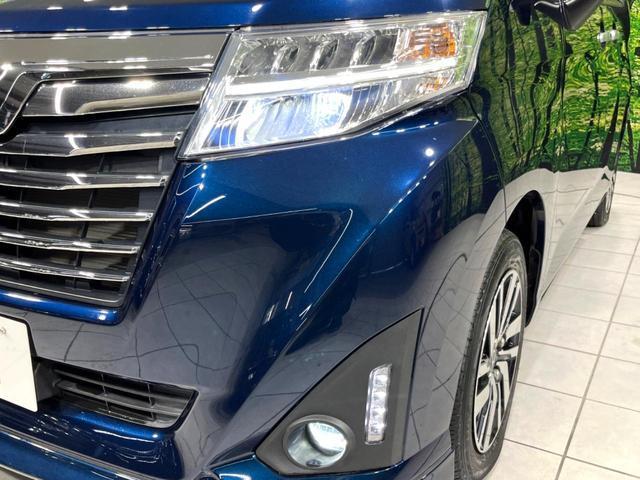 21619942_carP_l_7.jpg