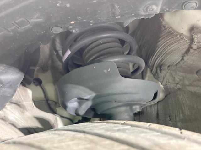 21637713_carP_l_20.jpg