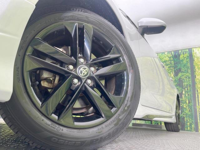 21637713_carP_l_7.jpg