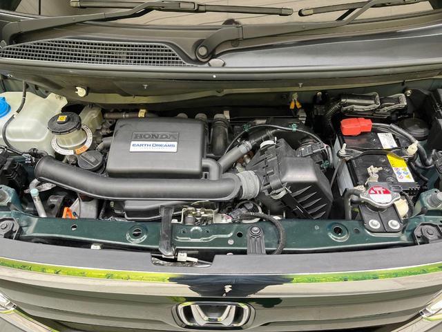 21965793_carP_l_16.jpg