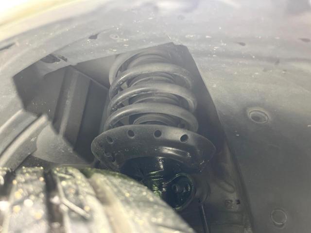 20262277_carP_l_20.jpg