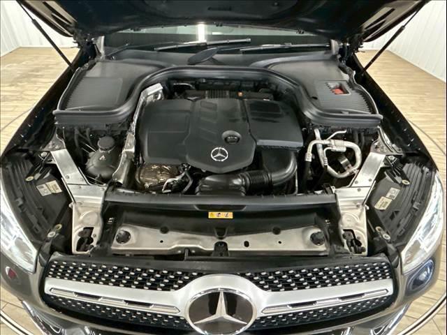 21230820_carP_l_6.jpg