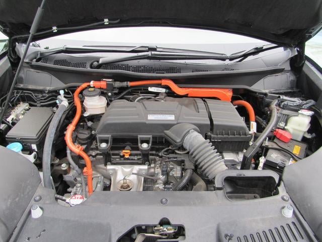 0561213A30250613W00117.jpg