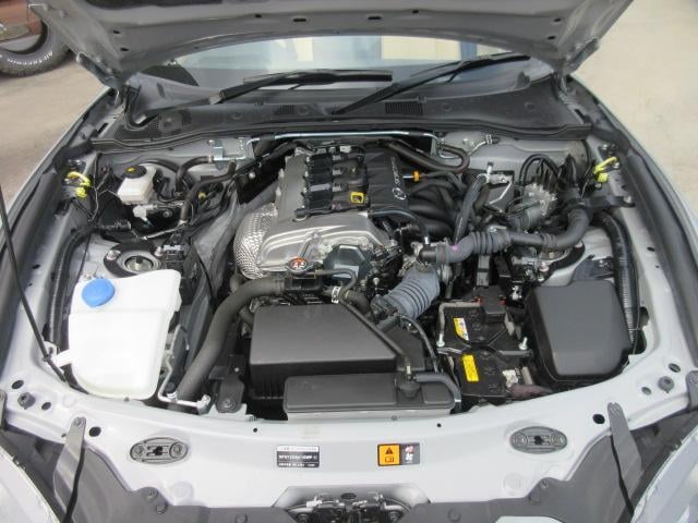 0561088A30250907W00215.jpg
