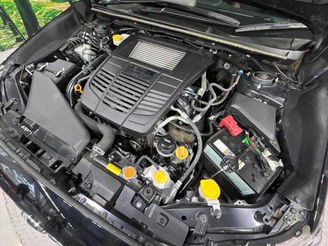 18860741_carP_l_18.jpg