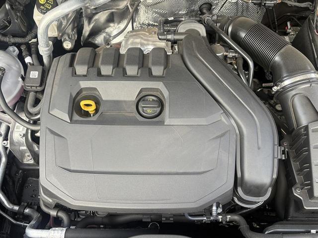 22256332_carP_l_12.jpg