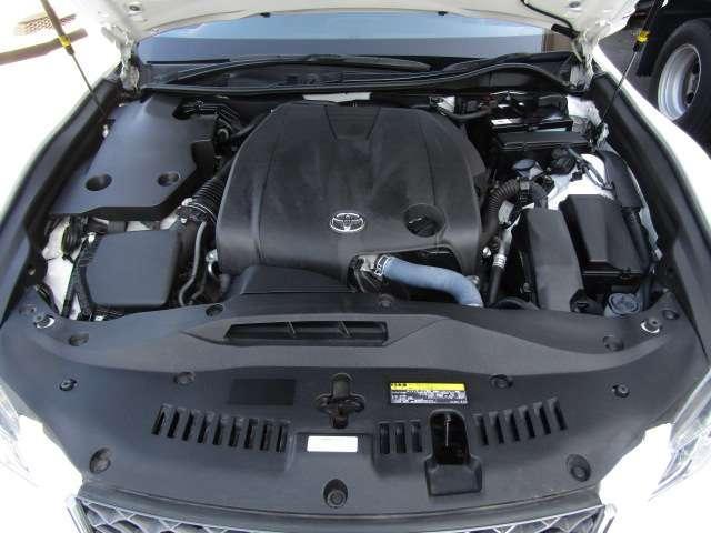 20657123_carP_l_18.jpg