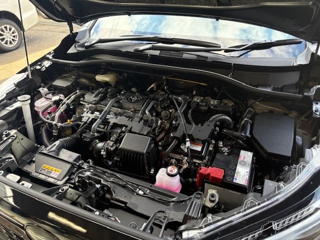 e4251d73ebd777cc2d692f2067c74bee.jpg
