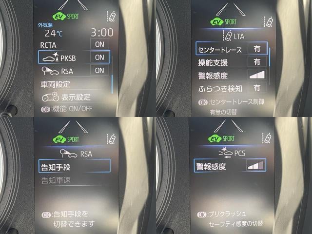 17540933_carP_l_13.jpg