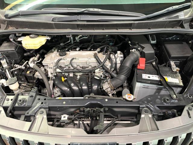 22241637_carP_l_18.jpg