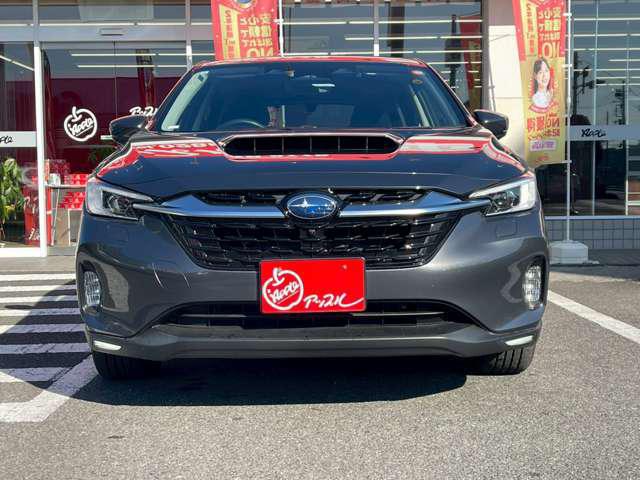 305edf42e79544e8e13c896e0e7f65c3.jpg