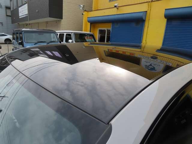 22084628_carP_l_8.jpg