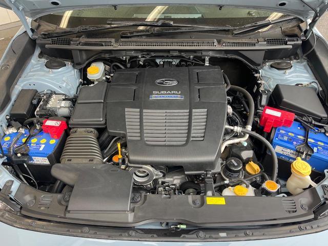 22094831_carP_l_18.jpg