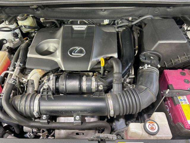 21928810_carP_l_16.jpg