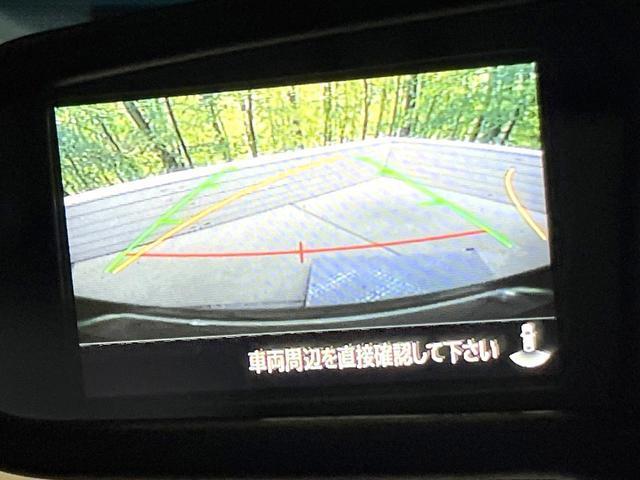 20607511_carP_l_10.jpg