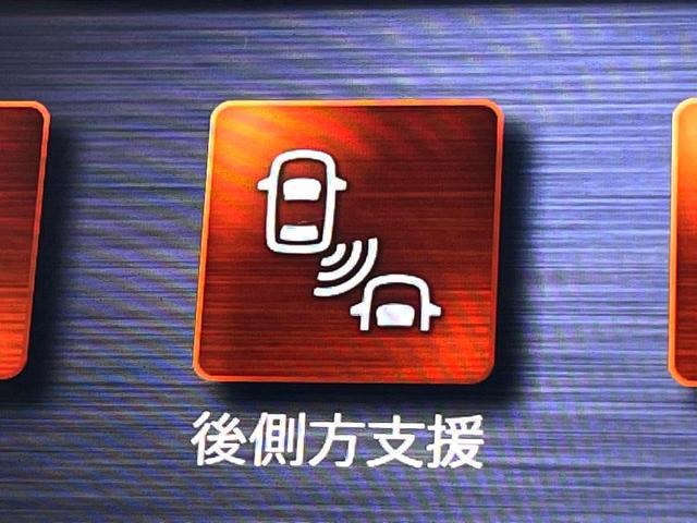 21566163_carP_l_14.jpg