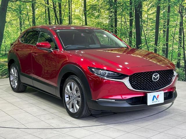20193698_carP_l_11.jpg