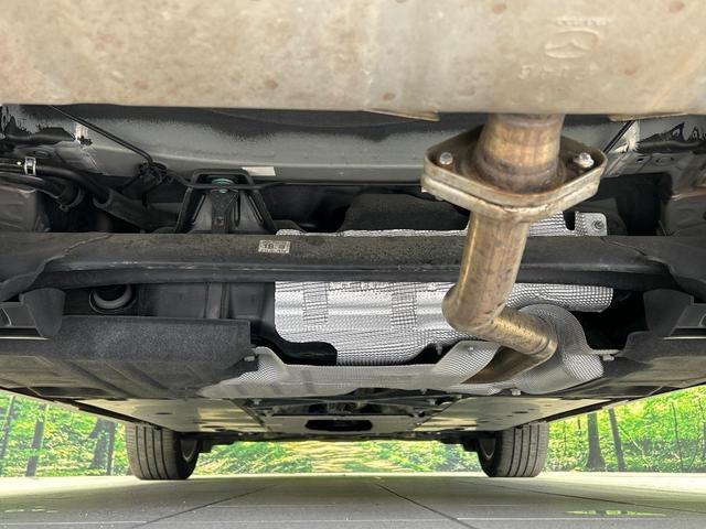 20193698_carP_l_18.jpg