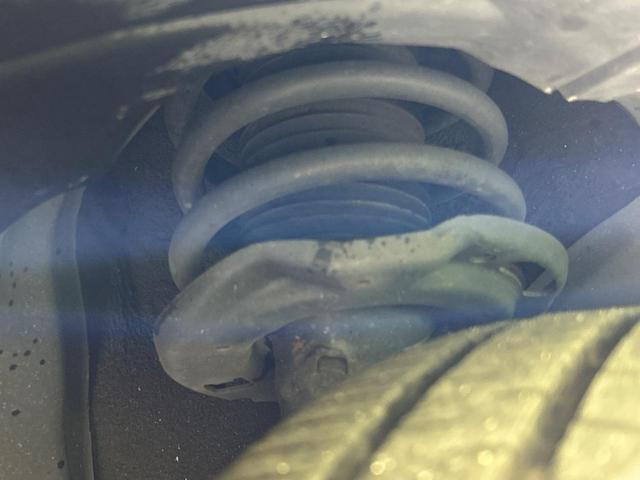 20193698_carP_l_20.jpg