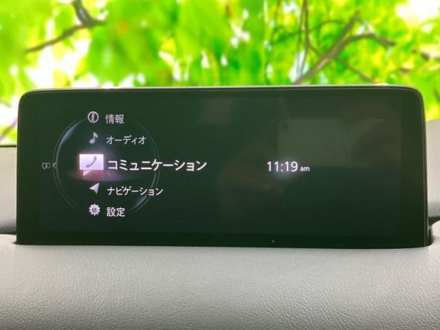 21469950_carP_l_8.jpg