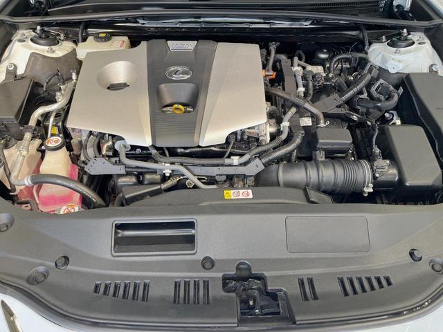 22448108_carP_l_18.jpg