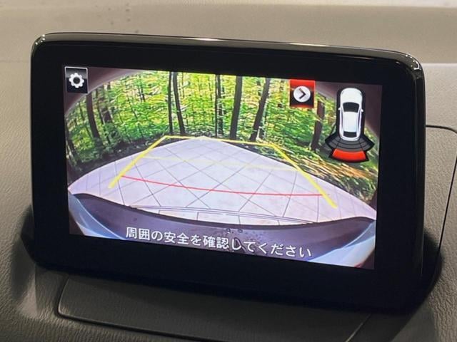 16754573_carP_l_4.jpg