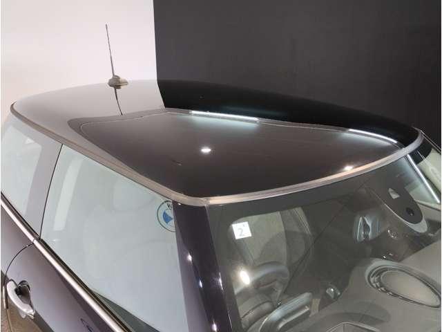 22502487_carP_l_19.jpg