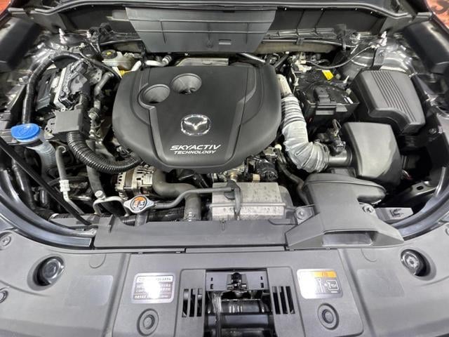 19676642_carP_l_16.jpg