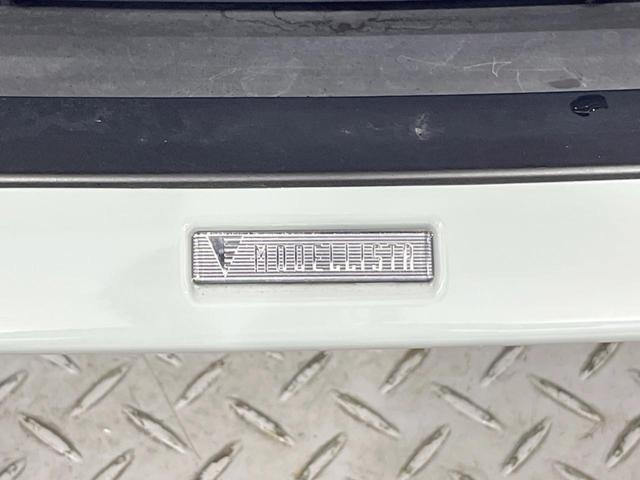 19833568_carP_l_15.jpg