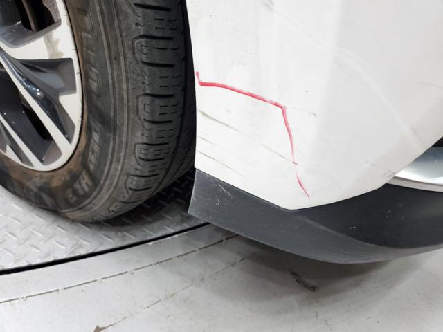 lotterental_153620659_xBDsT_1.jpg