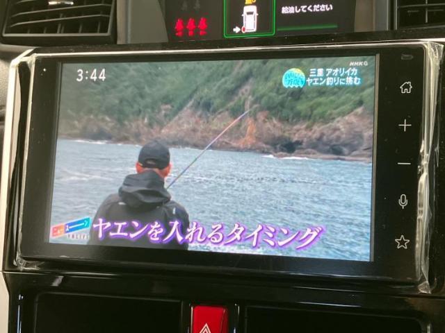 21195755_carP_l_19.jpg